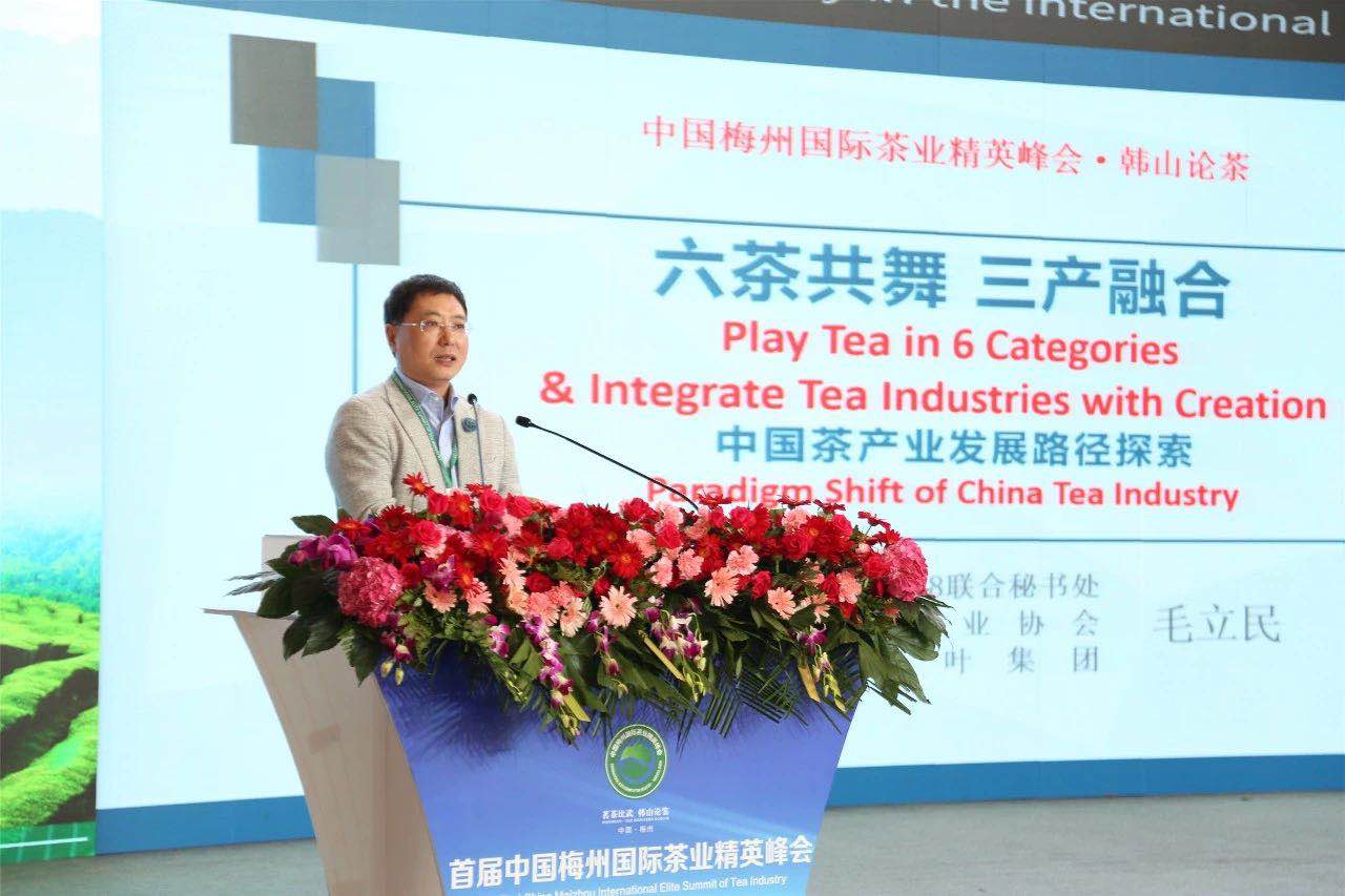 首屆中國梅州國際茶業(yè)精英峰會(huì )舉行 浙茶集團代表分享前沿觀(guān)點(diǎn)
