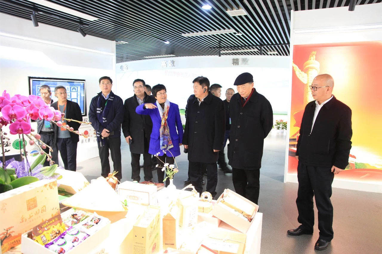 2019中國鄉村振興暨首屆“一帶一路”農業(yè)農村發(fā)展論壇嘉賓參觀(guān)浙茶集團九宇有機茶博園