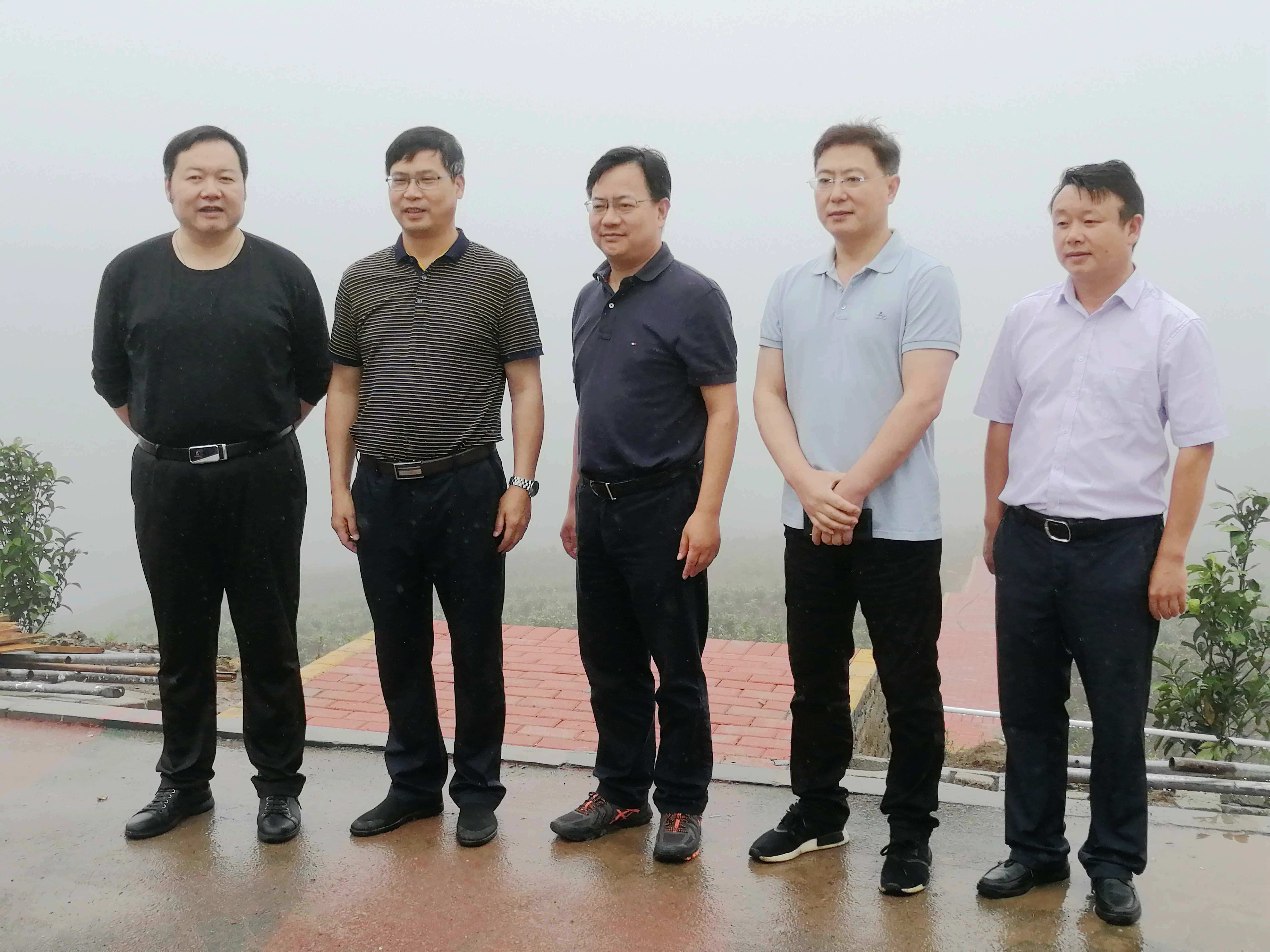 浙江省供銷(xiāo)社沈省文副主任一行考察普安“白葉一號”工程